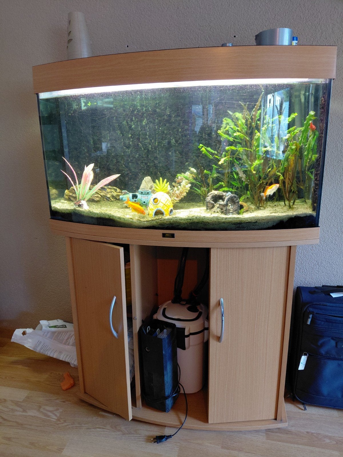 Complete aqarium, Dieren en Toebehoren, Ophalen, Inclusief vissen, Gebruikt