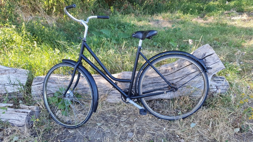 damesfiets, Terugtraprem, Ophalen, Overige merken, 53 tot 56 cm