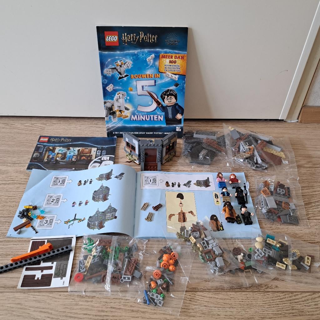 Harry Potter Hagrid's Hut: Buckbeak's Rescue, Inclusief minifiguren, Verzenden, Lego, Complete set