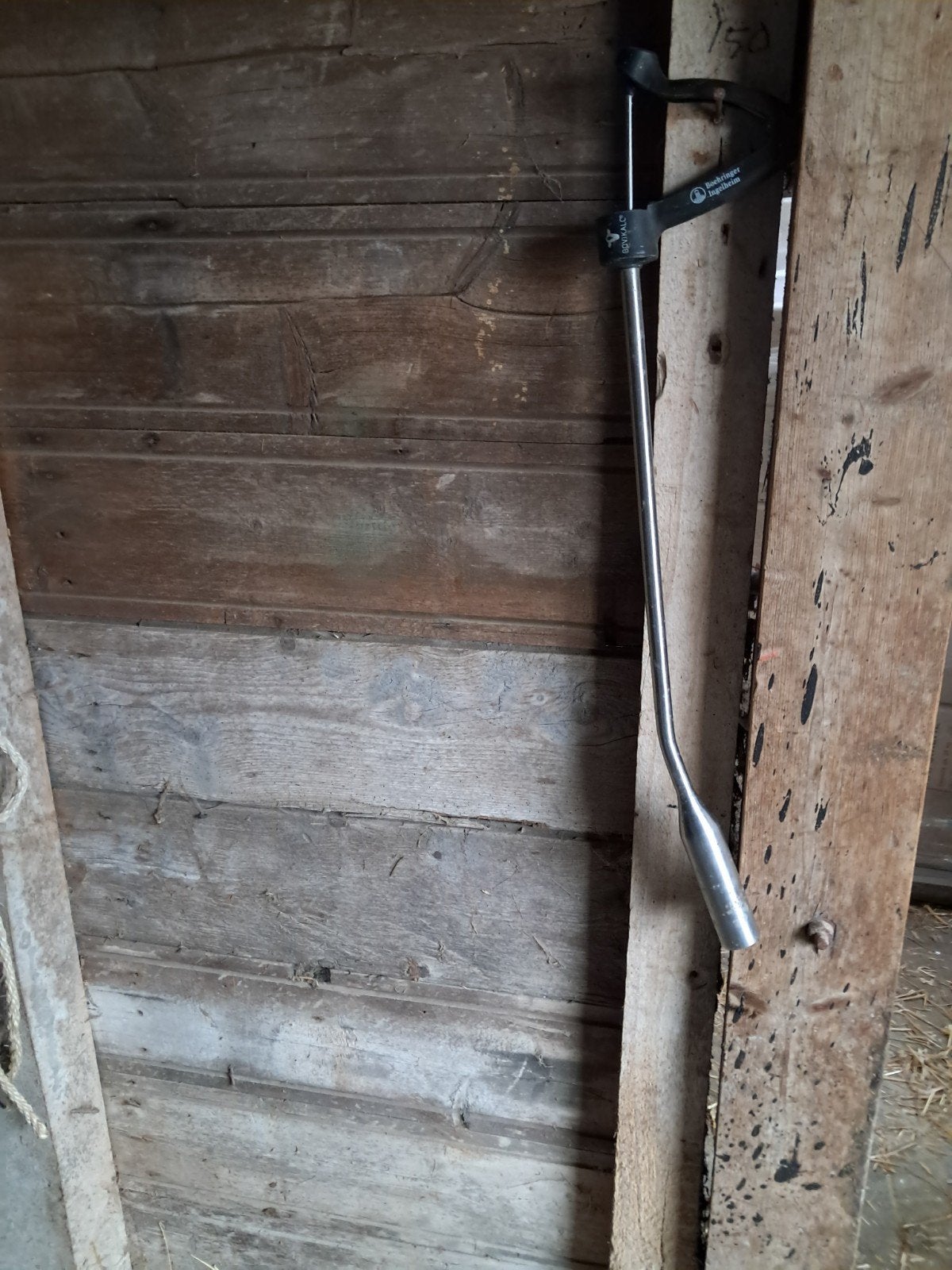 Bolus schieter, Dieren en Toebehoren, Overige Dieren-accessoires, Ophalen
