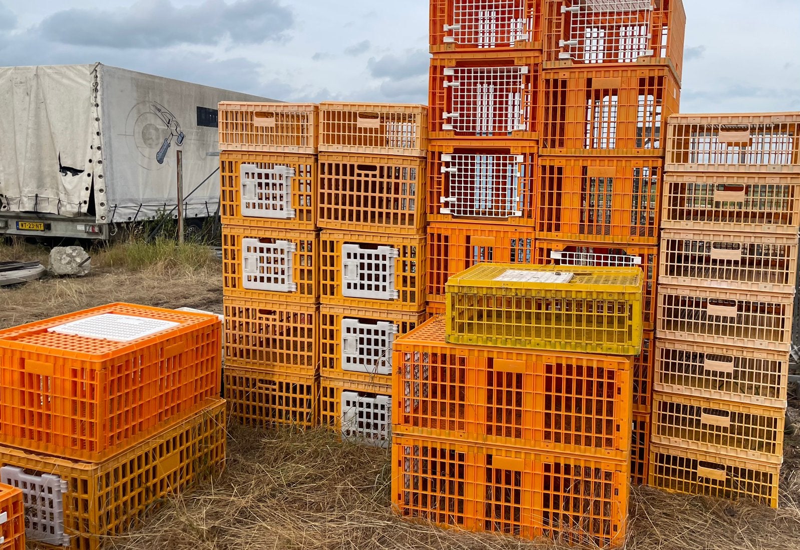 Vervoerskratten en koeling en kap, Dieren en Toebehoren