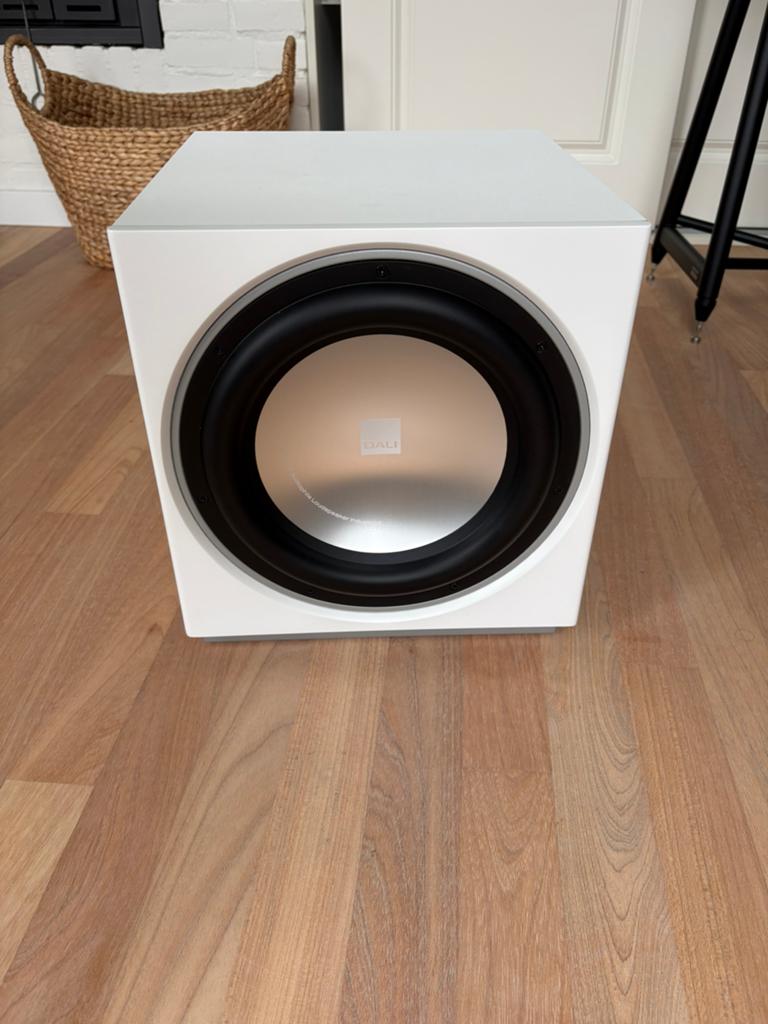 Subwoofer Dali 12”, Audio, Tv en Foto, Luidsprekers, Gebruikt, Subwoofer, 120 watt of meer, Ophalen