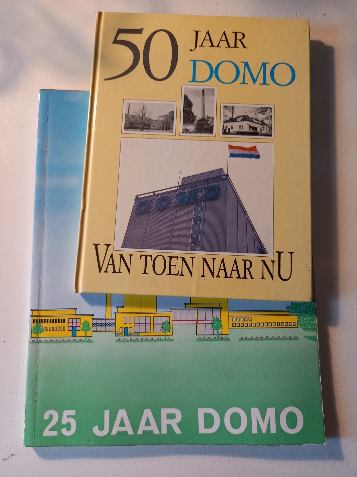 h30 2 Boeken: 25 Jaar Domo en 50 Jaar Domo Van Toen Naar Nu, Ophalen of Verzenden, Gelezen, Onbekend, Nederland