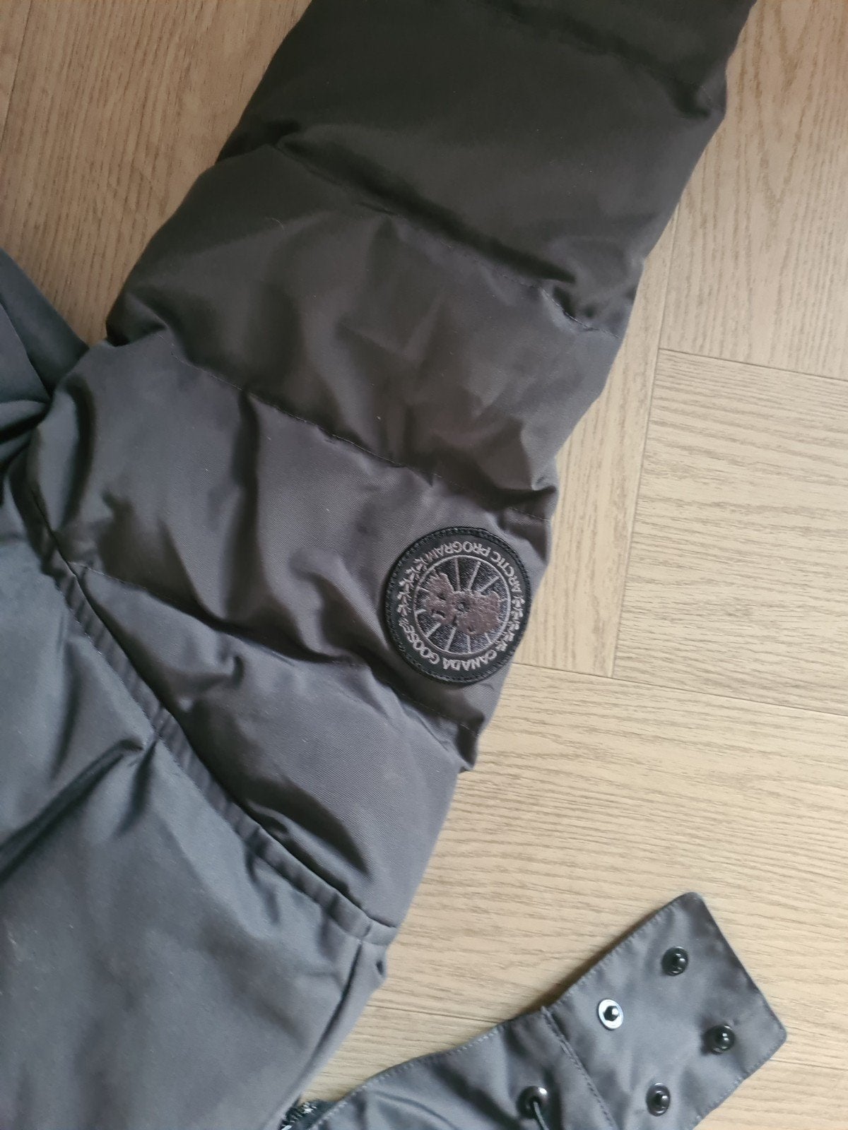 canada goose damesjas, Maat 38/40 (M), Canada Goose, Nieuw, Ophalen of Verzenden