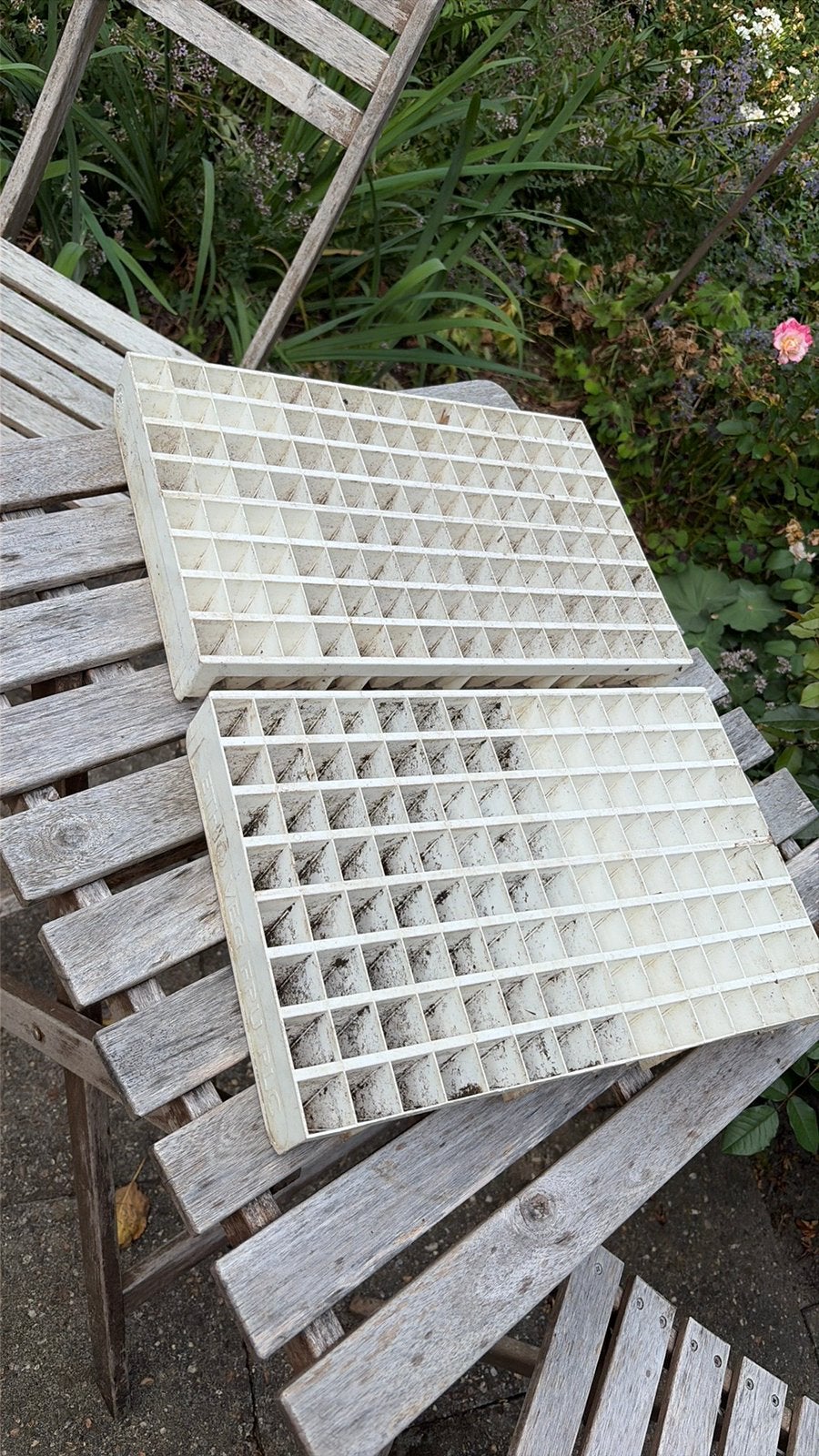 Zaaitrays 2 stuks, Tuin en Terras, Kweekspullen, Ophalen of Verzenden, Gebruikt, Kweekbak