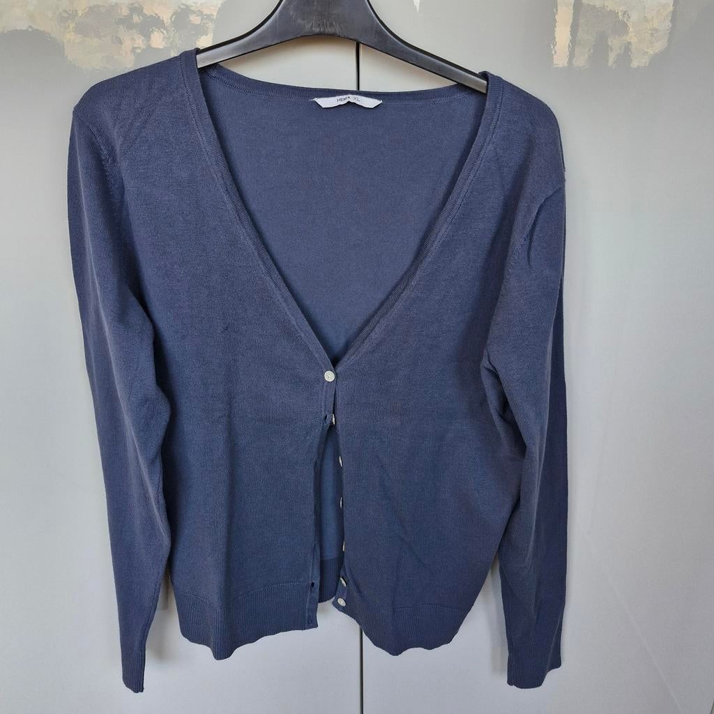 Hema Vest Donkerblauw Maat XL, Blauw, Maat 46/48 (XL) of groter, Ophalen of Verzenden, Gedragen