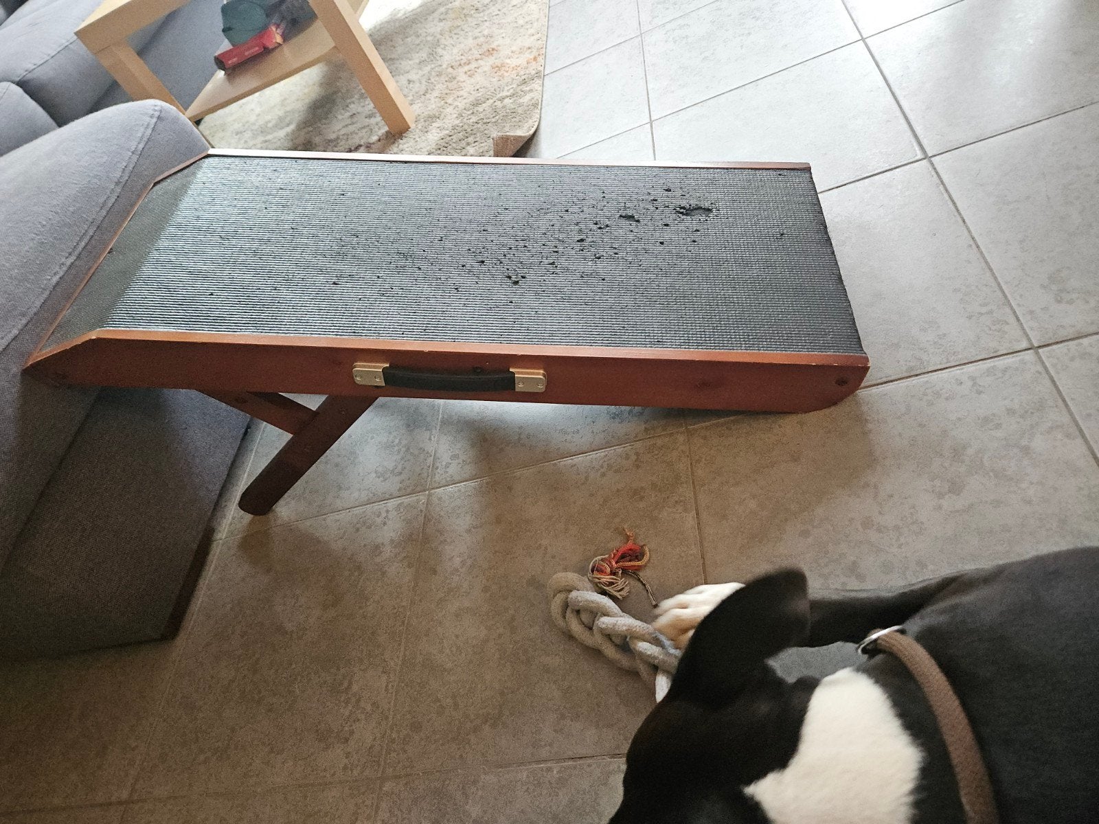 hondenloopplank, Dieren en Toebehoren, Ophalen of Verzenden