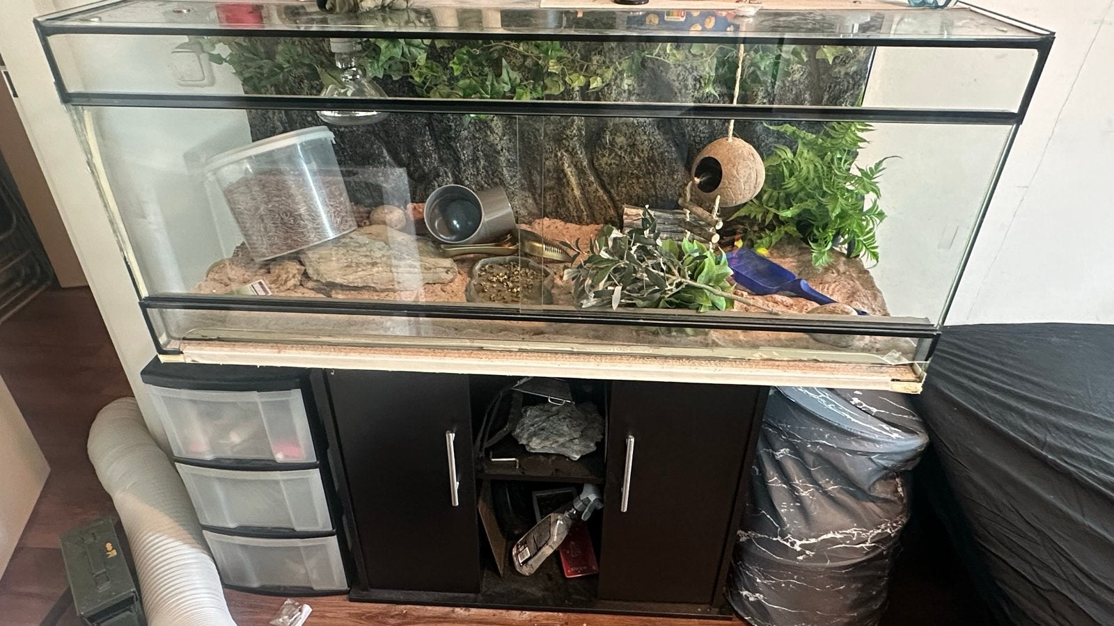 Terrarium, Dieren en Toebehoren, Ophalen, Gebruikt, Verlichting