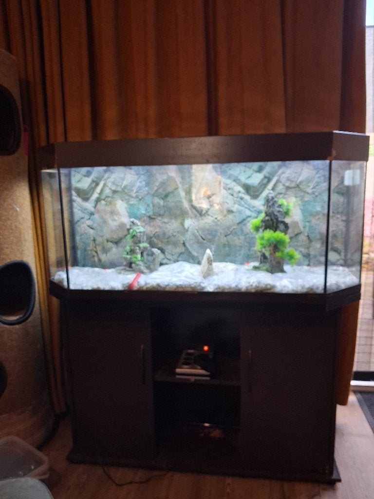 AQUARIUM MET TOEBEHOREN, Ophalen, Inclusief toebehoren, Gebruikt, Aquariummeubel
