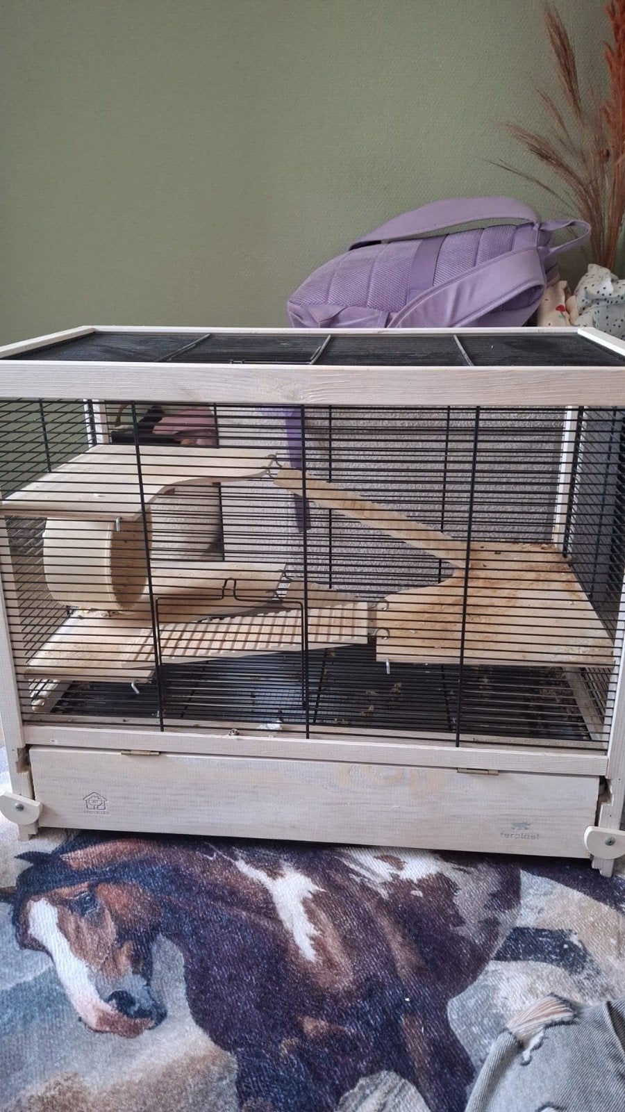 Hamster hok, Minder dan 60 cm, Minder dan 75 cm, Ophalen of Verzenden, Rat