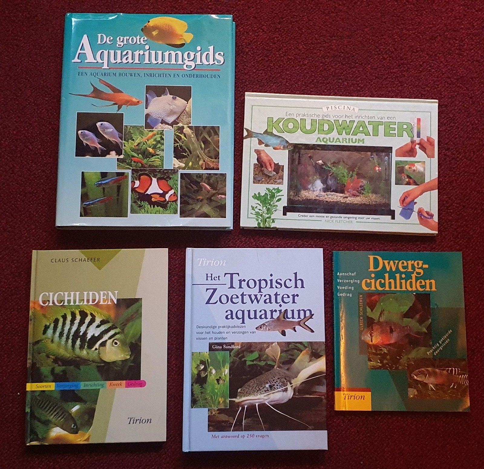 Diverse aquarium boeken, Ophalen of Verzenden, Gelezen, Vissen