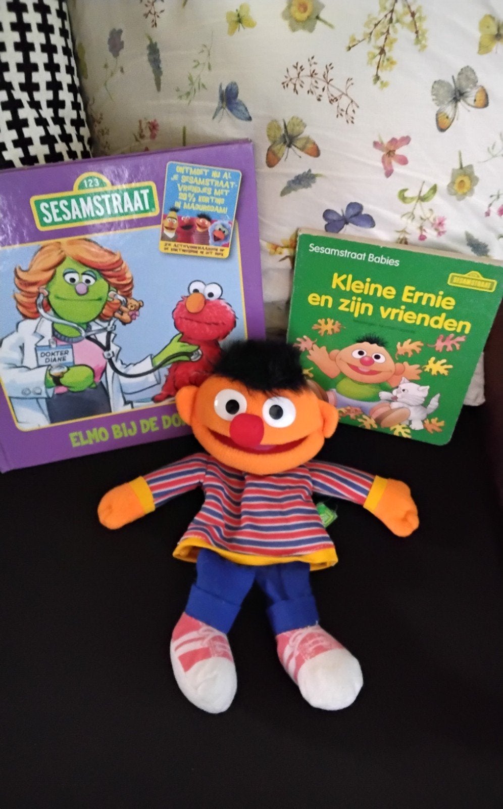 Ernie handpop Knuffel met leesboekjes, Gebruikt, Overige merken, Overige karakters, Overige typen