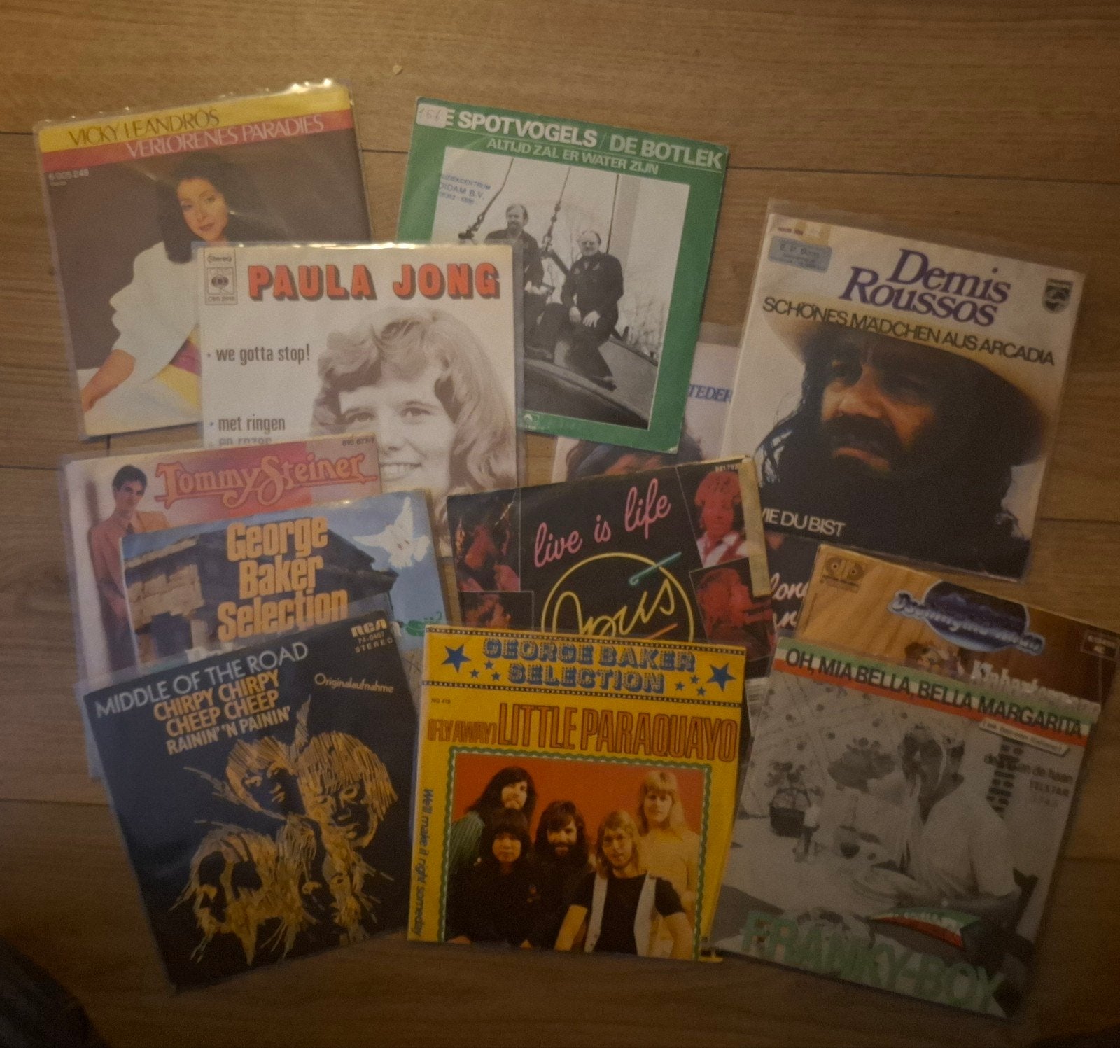 Partij piraten singles - 30 euro, Ophalen of Verzenden, Gebruikt