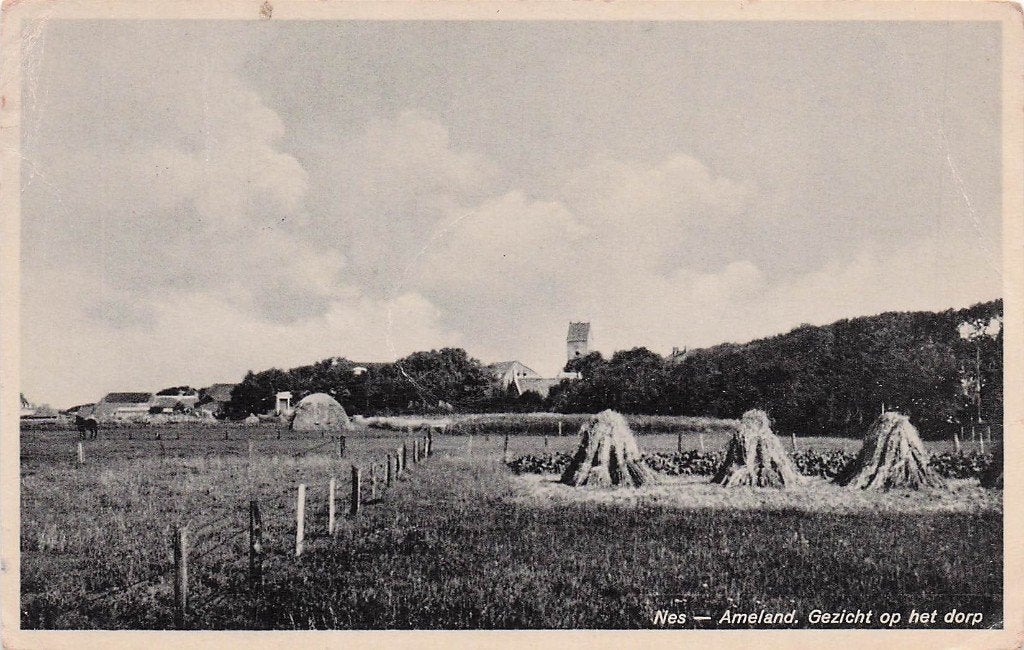 Ameland Nes - Gezicht op het dorp met korenschoven (1936), Ophalen of Verzenden, 1920 tot 1940, Gelopen, Waddeneilanden