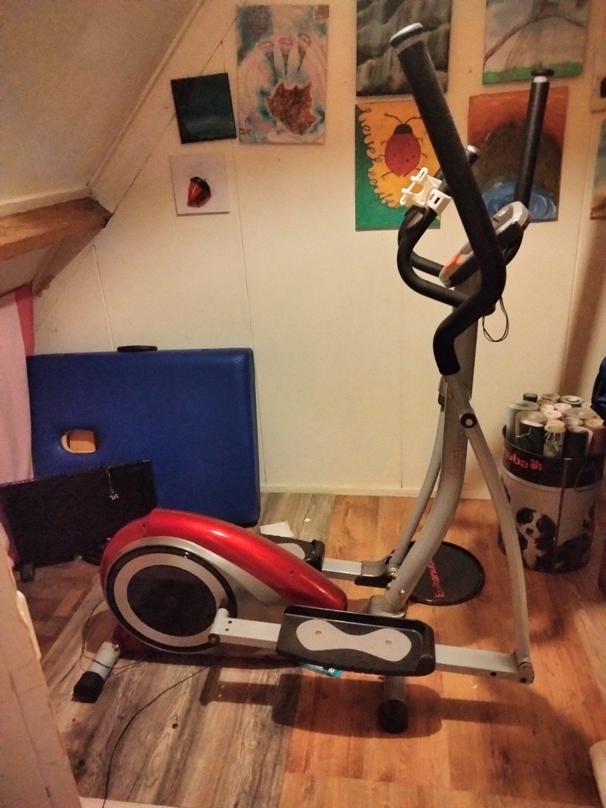 Crosstrainer Rossler Elements, Ophalen, Zo goed als nieuw, Crosstrainer, Metaal