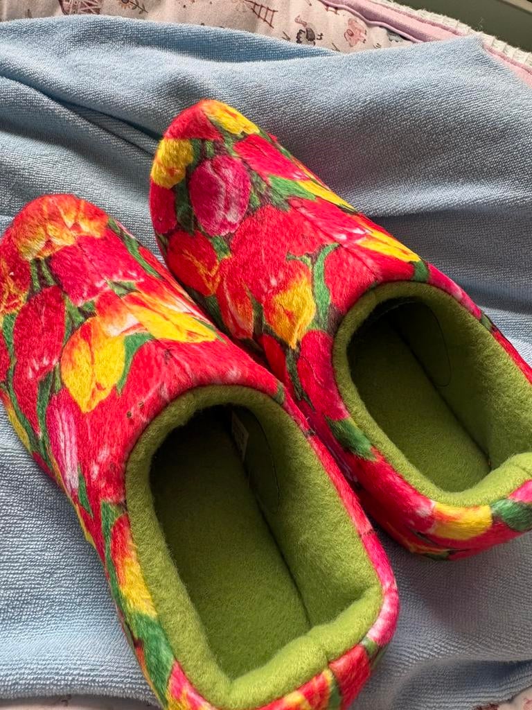 Leuke holland klomp sloffen, Kinderen en Baby's, Ophalen of Verzenden