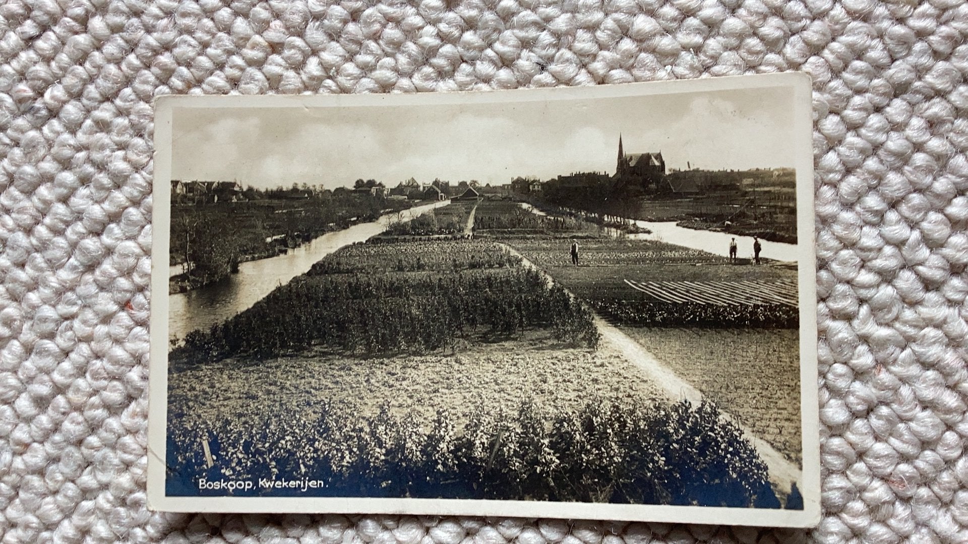 Fotokaart Boskoop Kwekerijen 1942. 987, Ophalen of Verzenden, 1940 tot 1960, Gelopen, Zuid-Holland