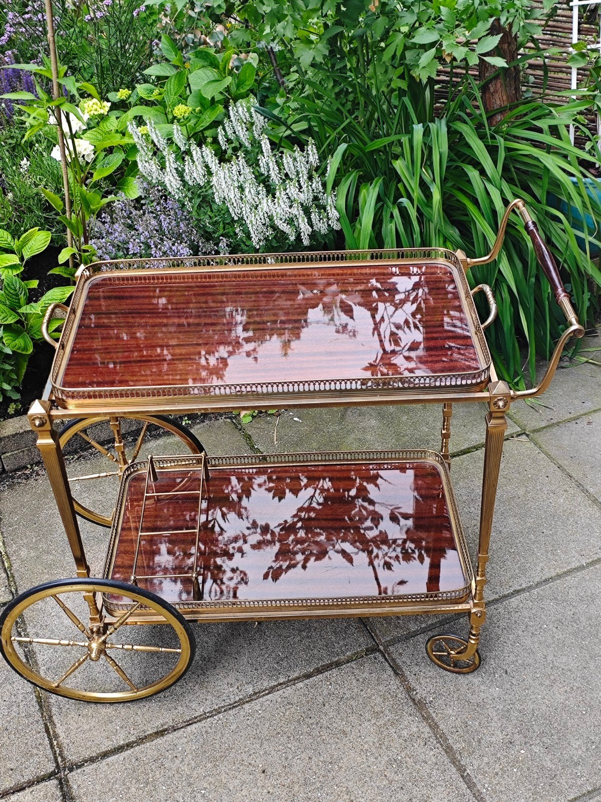 Antieke Bar Trolley Mahonie Hout & Vermoedelijk Messing, Ophalen