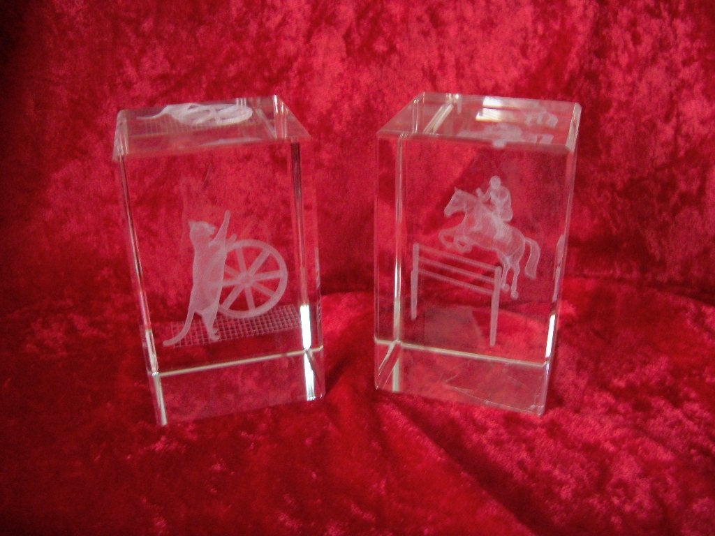 Glas Paard Ruiter, Poes - Kristal 3D Laserblok - Nieuw pstuk, Ophalen of Verzenden, Dier