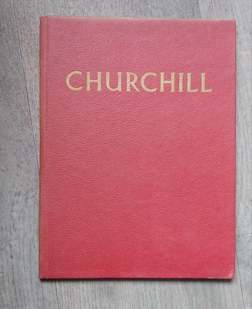 Churchill.  Boek, Ophalen of Verzenden, Tweede Wereldoorlog, Gelezen, Algemeen
