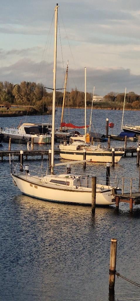 Kajuit zeilboot Pion 30, Watersport en Boten, Kajuitzeilboten en Zeiljachten, Ophalen of Verzenden, Gebruikt, Polyester, Diesel
