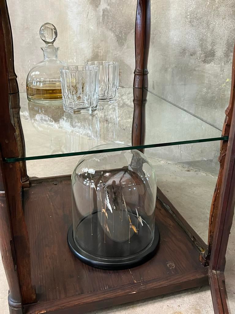 Toonbank vitrine, uniek, Antiek en Kunst, Ophalen