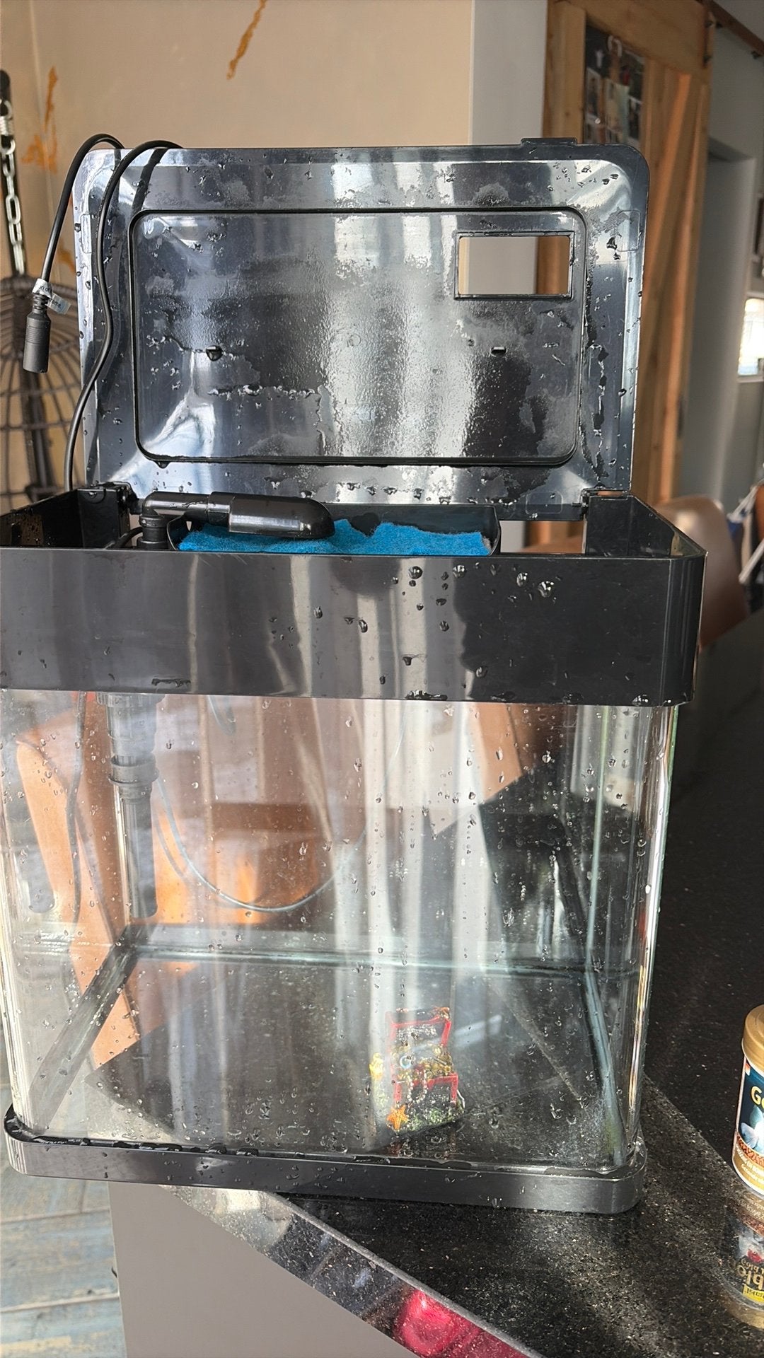 Aguarimvissen, Dieren en Toebehoren, Vissen | Aquariumvissen, Vis, Zoetwatervis