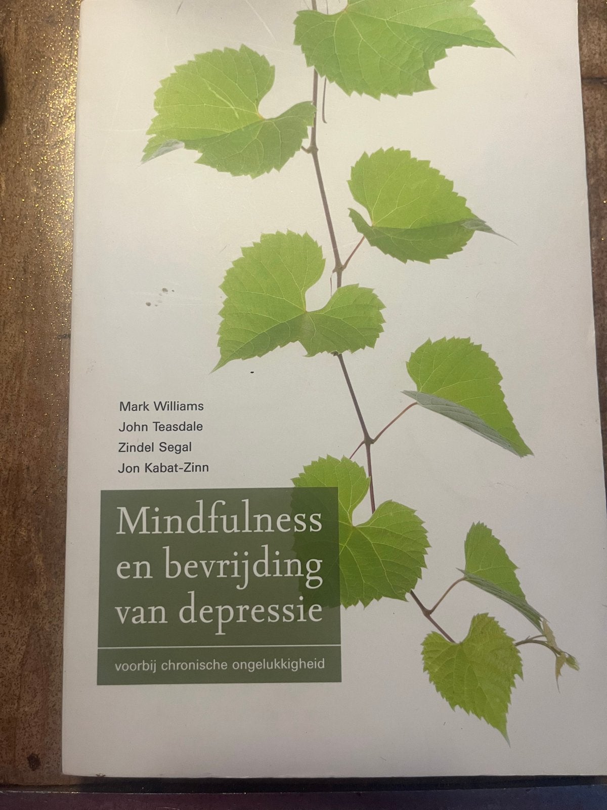 Mindfulness en bevrijding van depressie - Mark Williams, Boeken, Ophalen of Verzenden, Gelezen, Gezondheid en Conditie