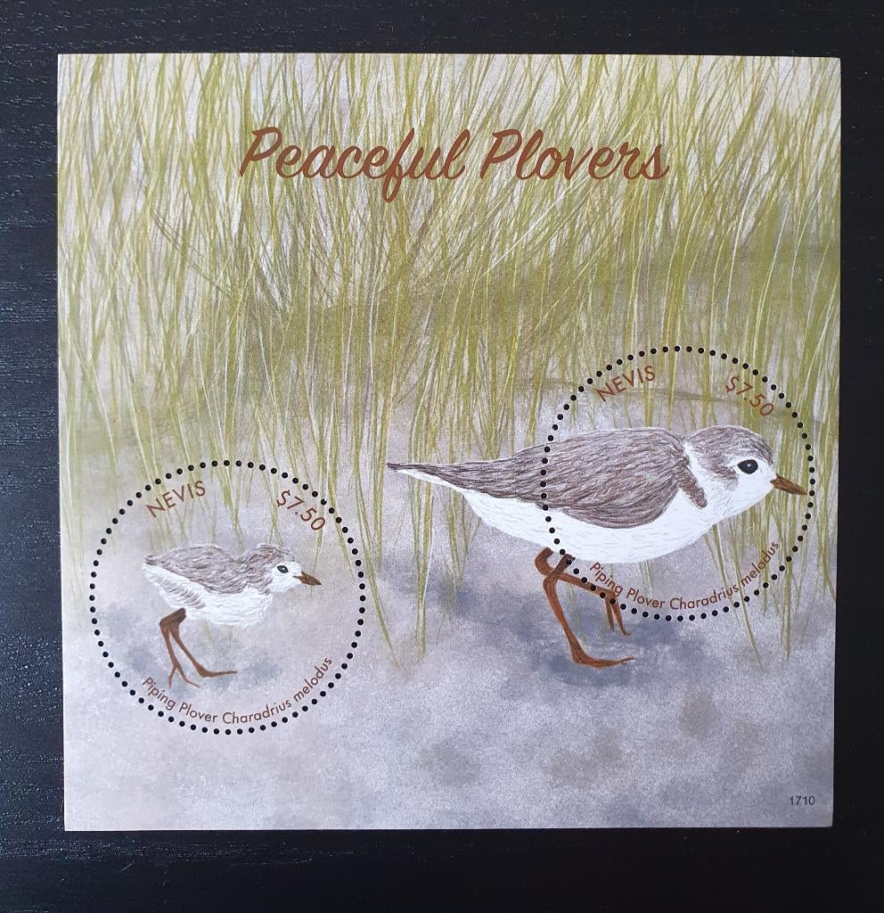 Nevis 2017 Vogels Michel blok 396 postfris, Verzenden, Postfris, Dier of Natuur