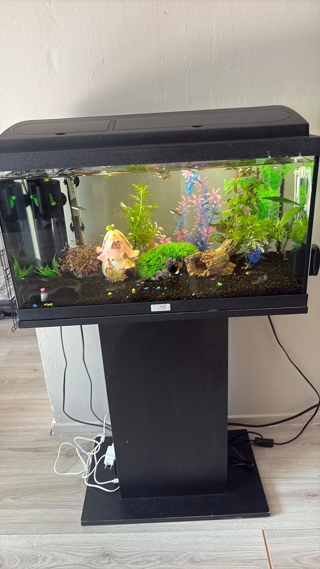 Aqarium 45 liter met vissen en toebehoren, Dieren en Toebehoren, Ophalen, Zo goed als nieuw, Gevuld zoetwateraquarium
