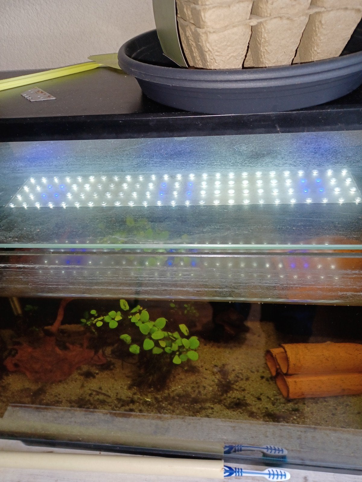Aquarium, Dieren en Toebehoren, Ophalen
