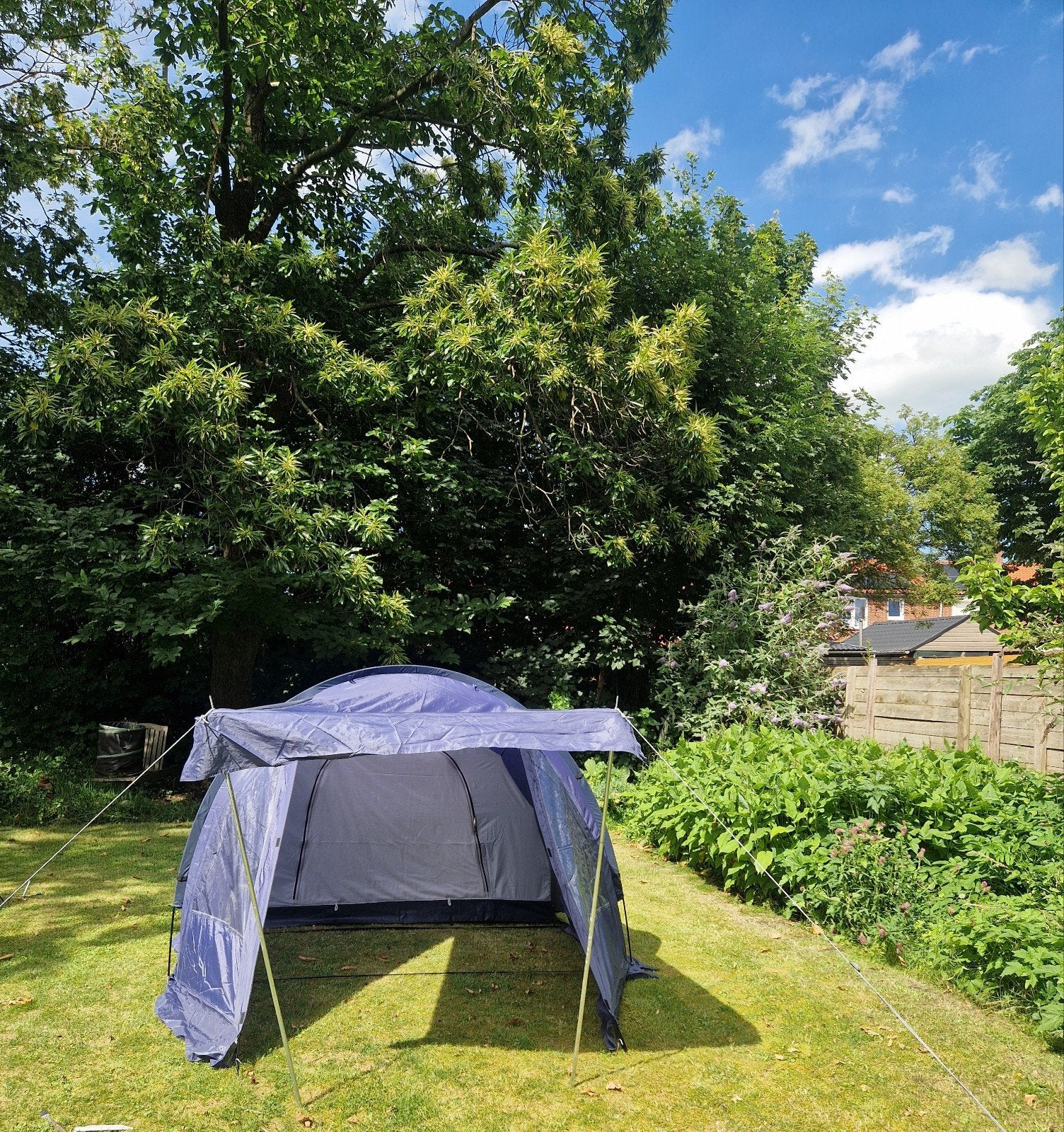 Trail Hartford Tent - koepeltent 3 pers, Ophalen of Verzenden