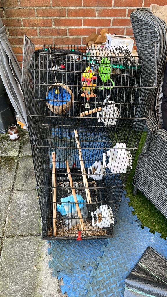 Kooi, Ophalen of Verzenden, Zo goed als nieuw, Metaal, Vogelkooi