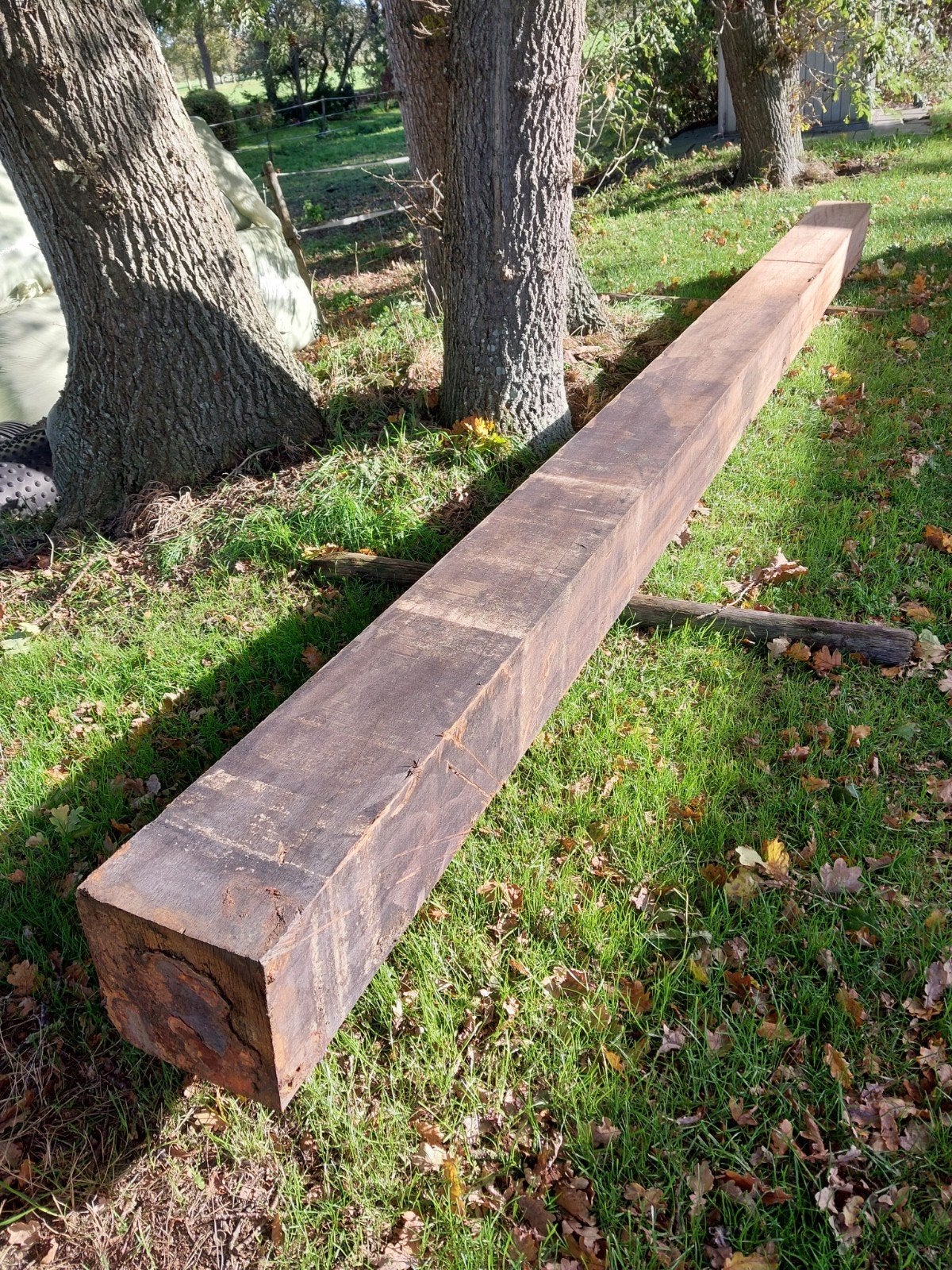 Massieve hardhouten azobe balk/paal, Ophalen, Gebruikt, Balk, Overige houtsoorten