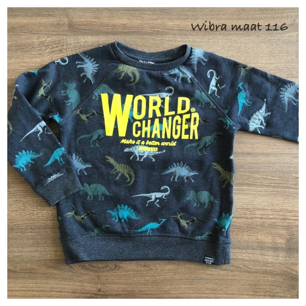 Wibra trui maat 116 met dinosaurus print, Kinderen en Baby's, Ophalen of Verzenden, Gebruikt, Jongen, Trui of Vest