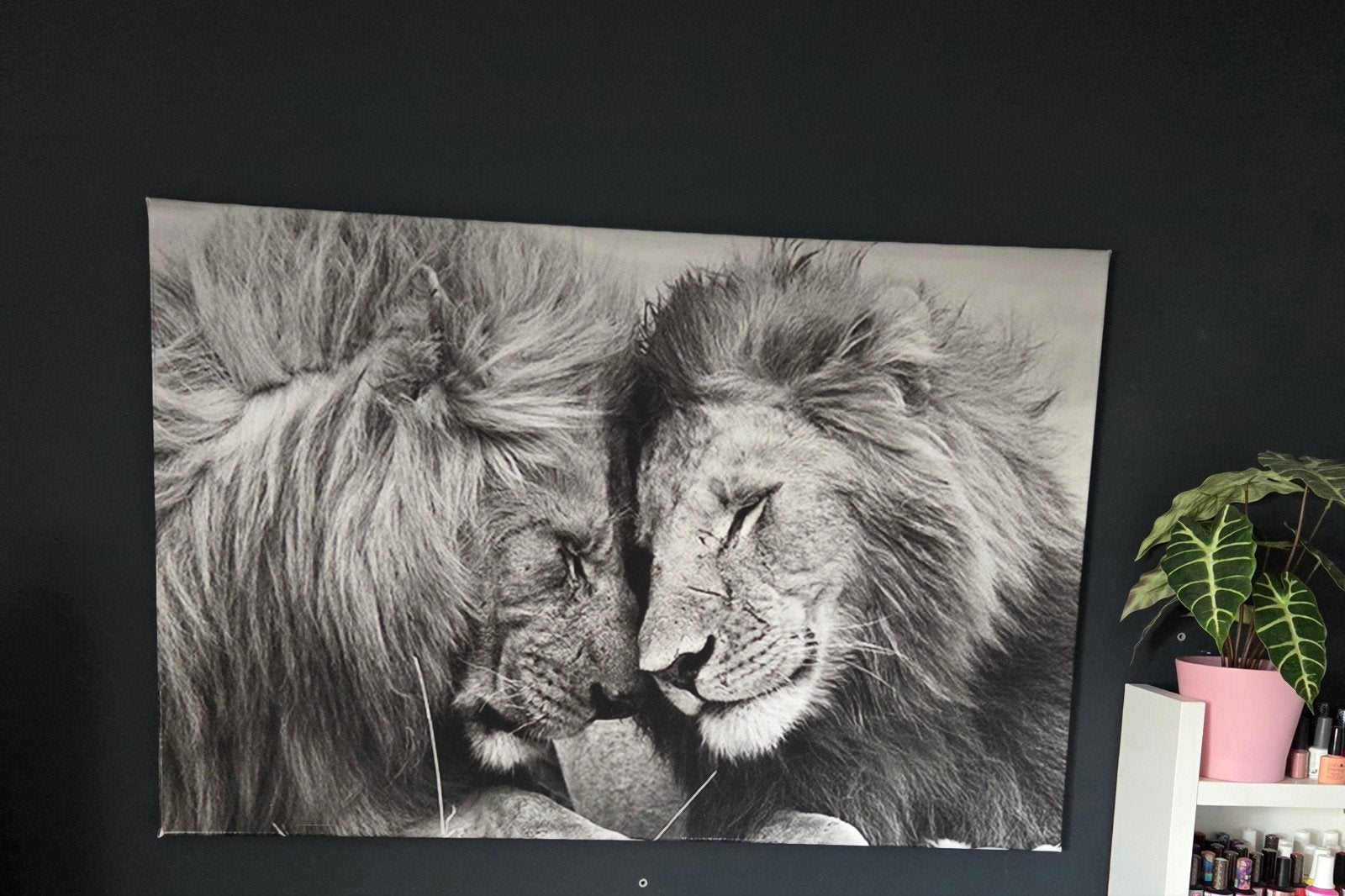 Canvas doek met leeuwen - 120x80 cm, Huis en Inrichting, Woonaccessoires | Schilderijen, Tekeningen en Foto's, Ophalen, Schilderij