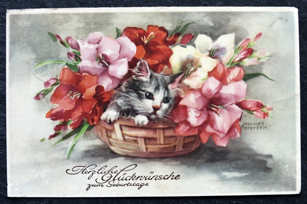 Poes ligt tussen de bloemen in de mand, Hannes Petersen 1936, Verzenden, 1920 tot 1940, Gelopen, Hond of Kat