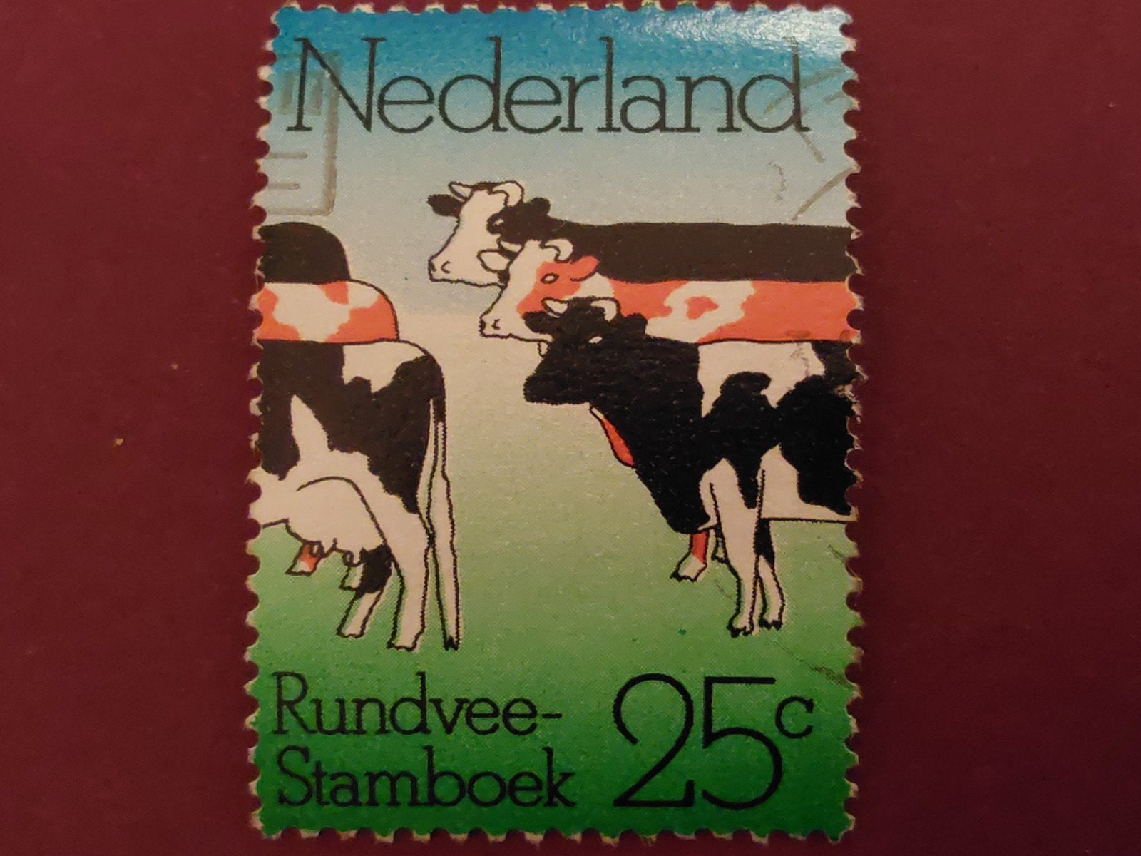 Nederland - Rundvee Stamboek - 1974, Ophalen