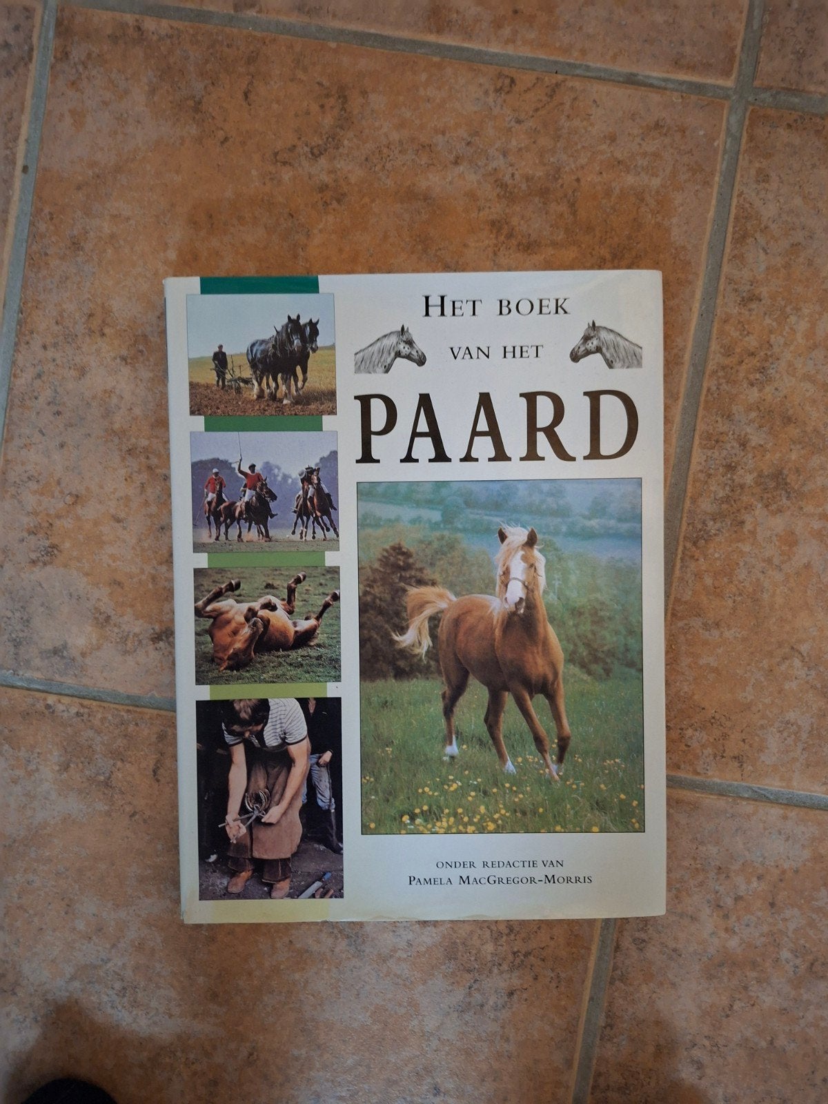 Het boek van het paard, Ophalen of Verzenden
