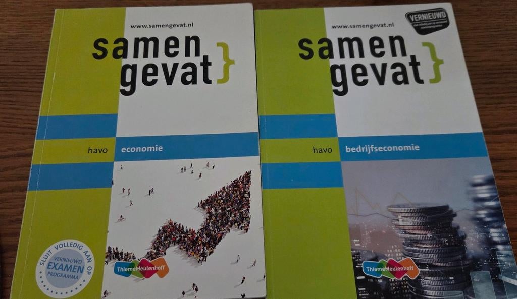 Samengevat havo economie en bedrijfseconomie, Ophalen of Verzenden, Zo goed als nieuw, ThiemeMeulenhoff