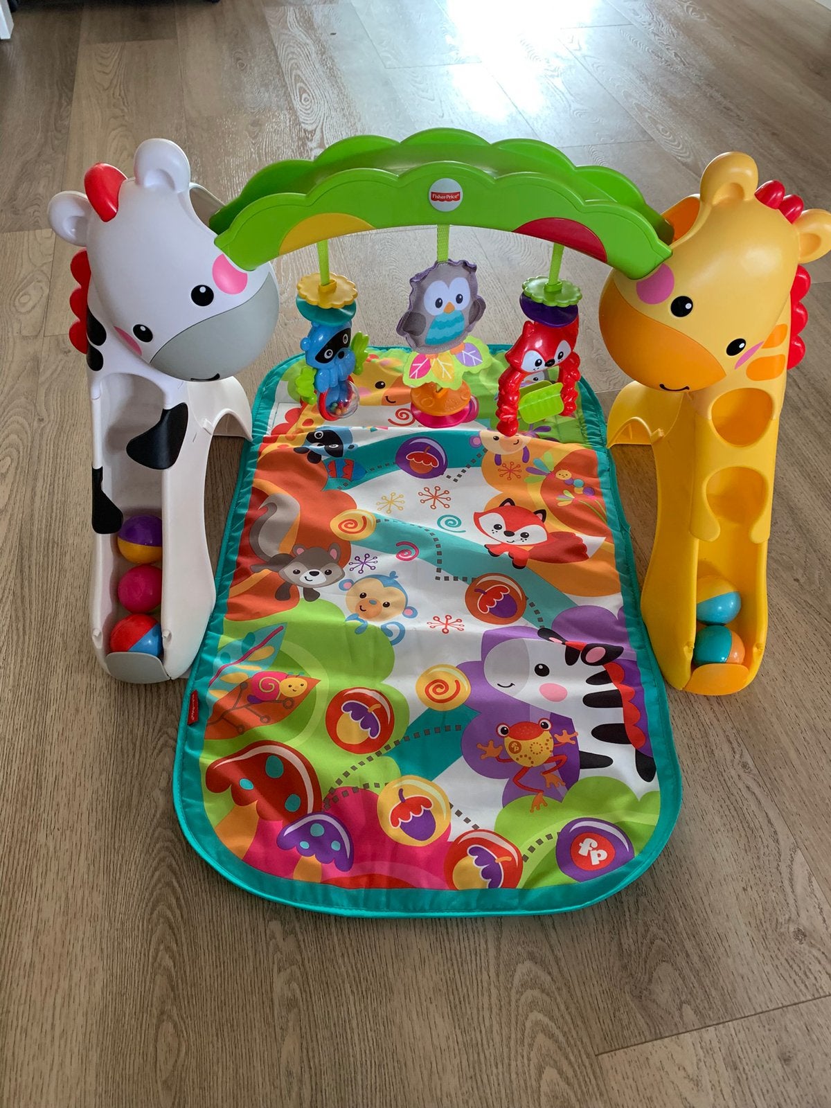 Speelgym van baby tot peuter Fisher-Price, Ophalen, Gebruikt