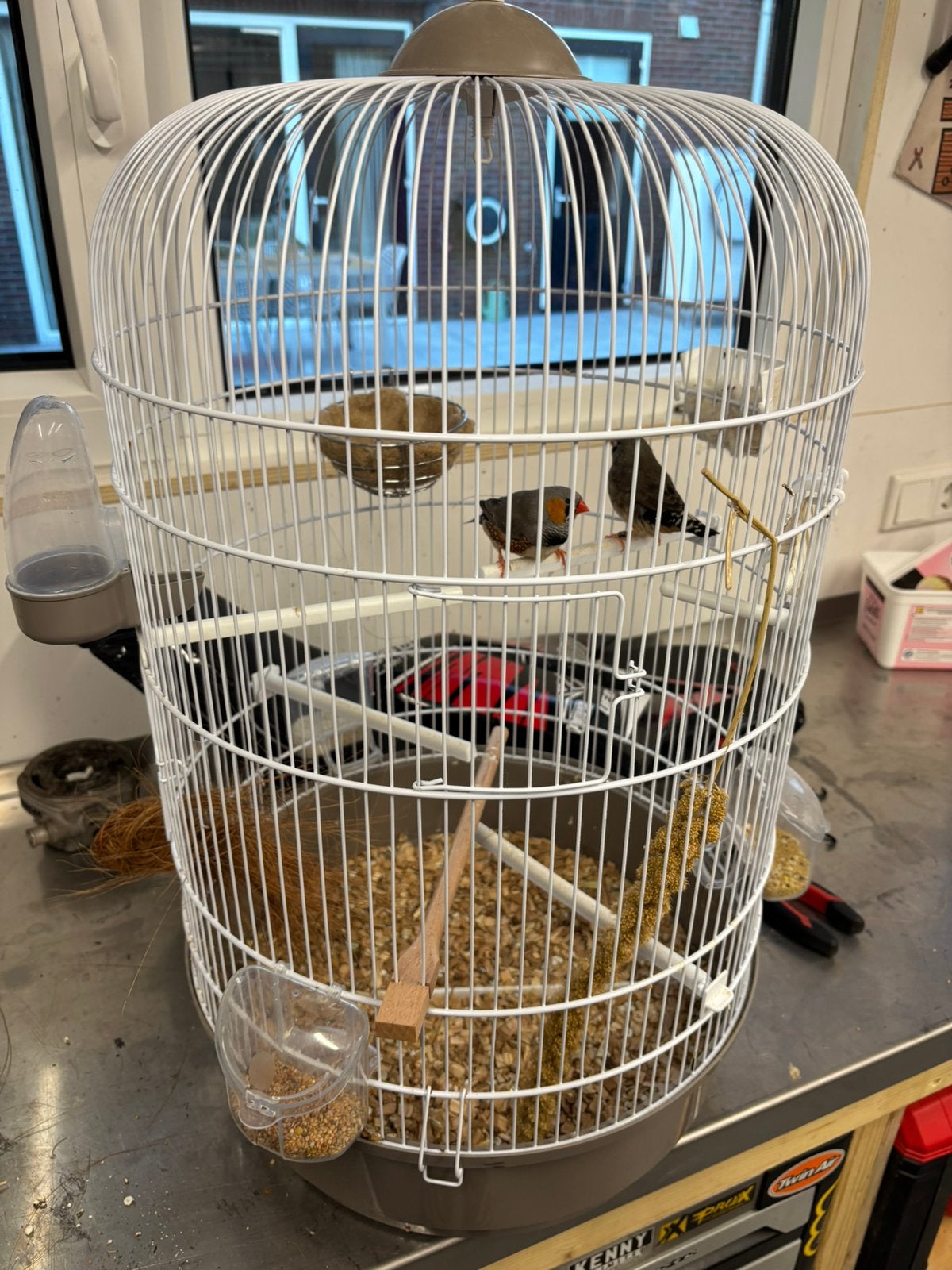 Koppeltje zebravinken, Dieren en Toebehoren, Ophalen, Zo goed als nieuw, Metaal, Vogelkooi