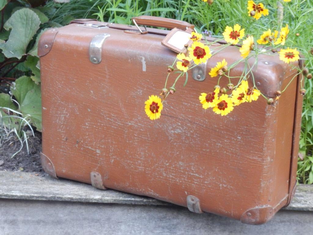 Leuke oude brocante koffer, Antiek en Kunst, Ophalen of Verzenden