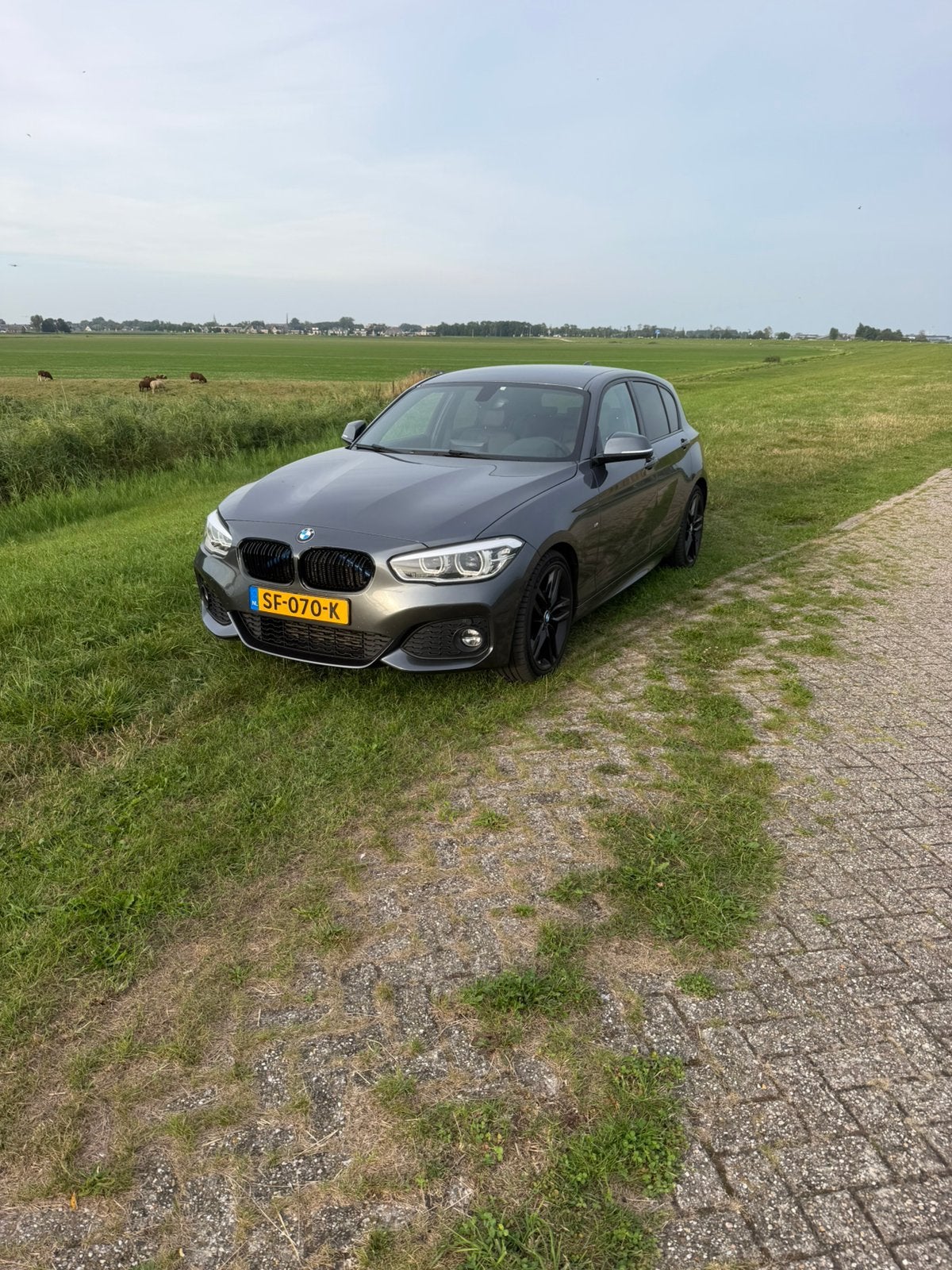 BMW 1-Serie 116i LCI M-Pakket 170pk 2017 Grijs, Auto's, 1-Serie, Achterwielaandrijving, 1280 kg, Zwart