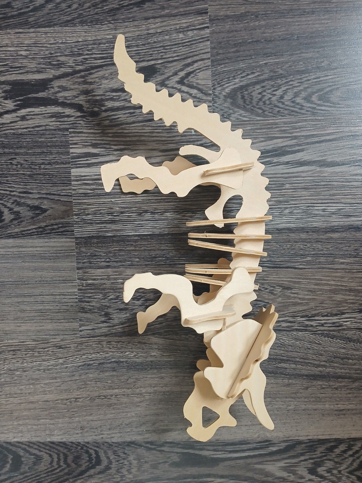 Houten Dinosaurus Skelet, Ophalen of Verzenden, Gebruikt, Overige typen