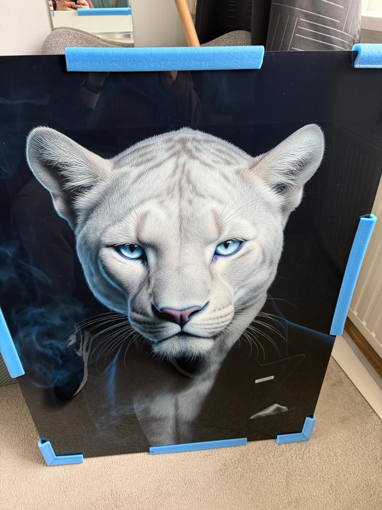 Nieuw acrylglas schilderij wall art 100x75 cm – panter/poema, Ophalen