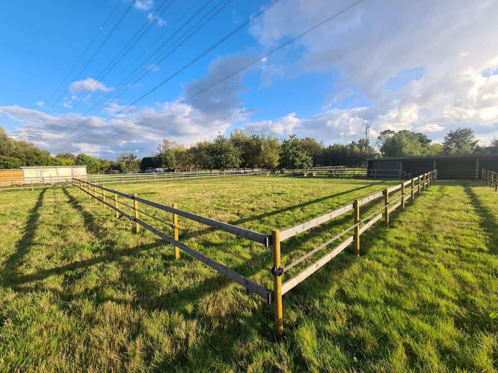 TE HUUR GEZOCHT!, Dieren en Toebehoren, Stalling en Weidegang, Weidegang, 4 paarden of pony's of meer
