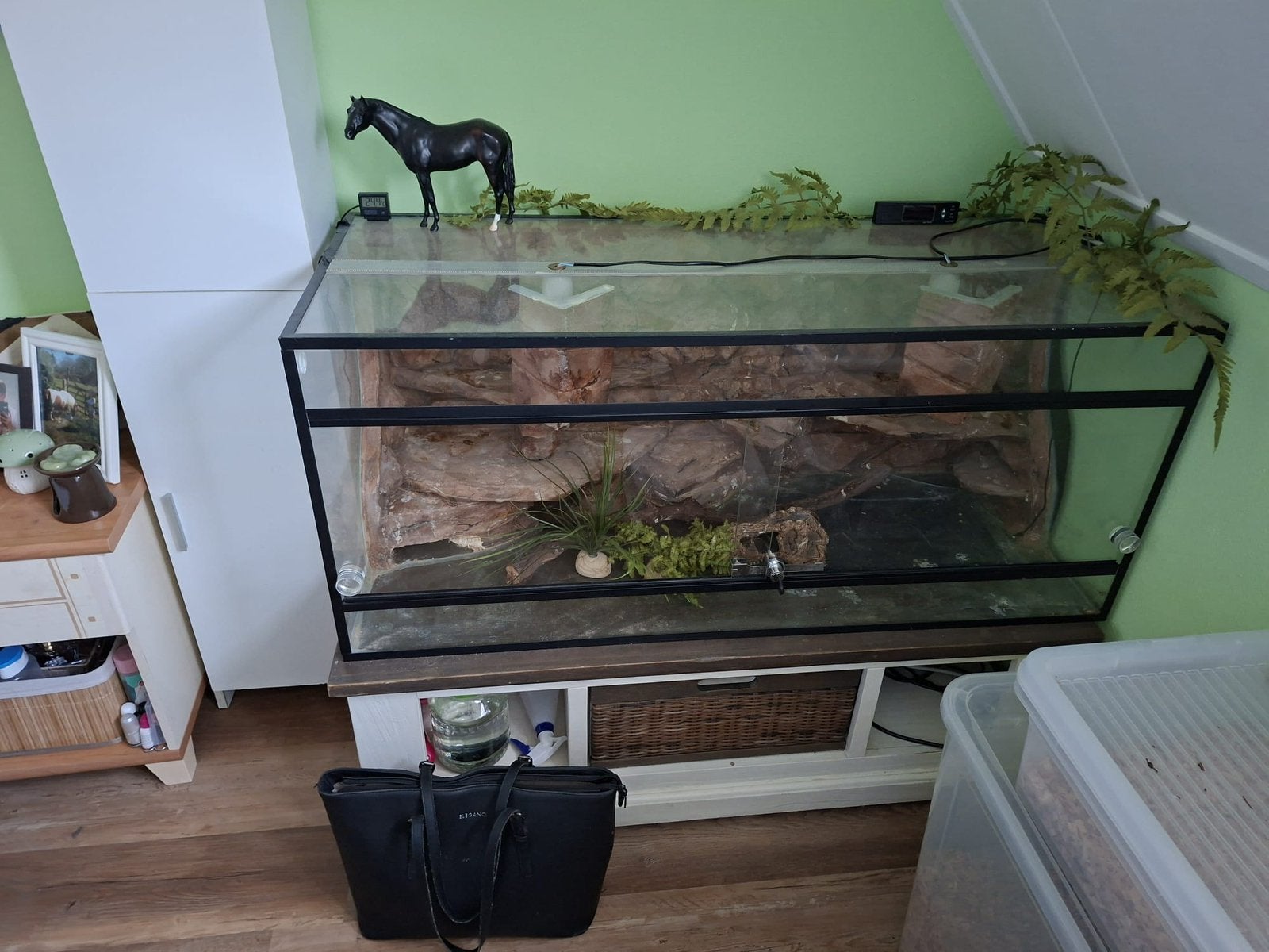 Terrarium, Dieren en Toebehoren, Ophalen, Gebruikt, Terrarium of Paludarium