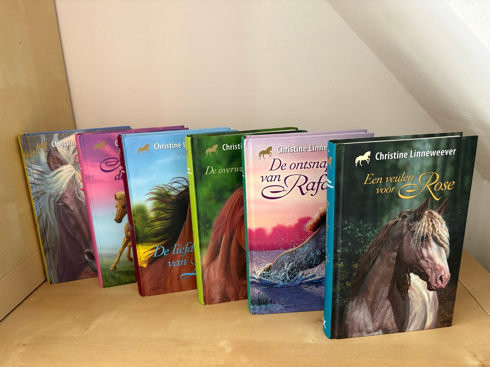 6 paardenboeken van Christine Linneweever (per stuk kan ook), Ophalen, Gelezen, Fictie