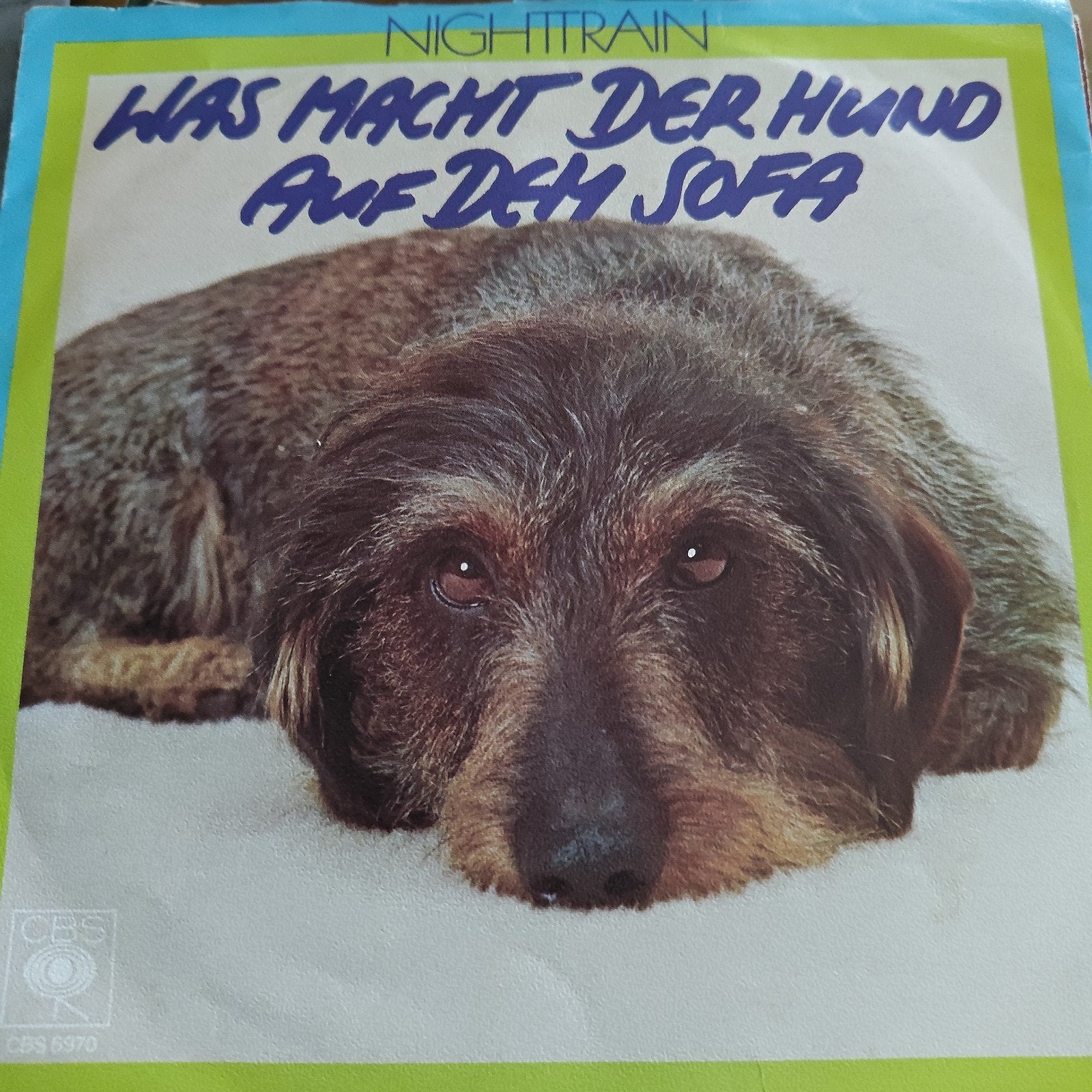 Nighttrain - Was Macht Der Hund Auf Dem Sofa (LP), LP, Gebruikt, 7 inch, Schlager